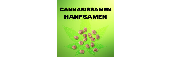 Cannabis Samen (B2B)